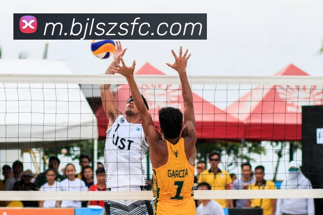 百家乐网站平台生态图